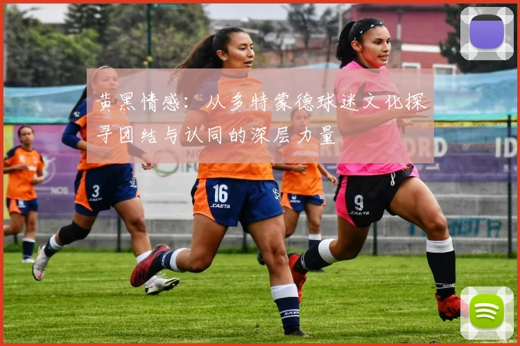 黄黑情感：从多特蒙德球迷文化探寻团结与认同的深层力量